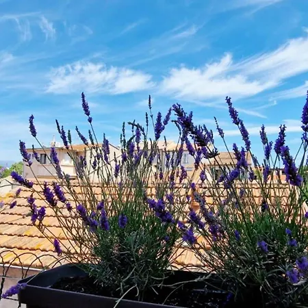 4 Le Saint Joseph Center With Ac Daire Antibes